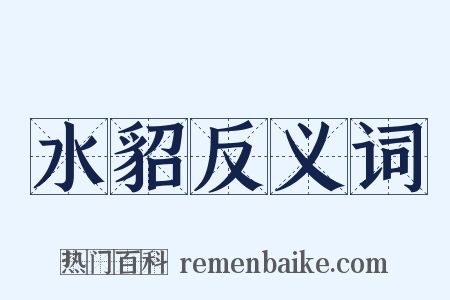 水貂反义词是什么意思的图片